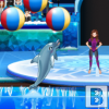 Шоу с делфини в аквапарка